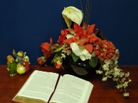 58609ReRoCrTeSh - Bible - Nativity Scene on our welcome desk.JPG